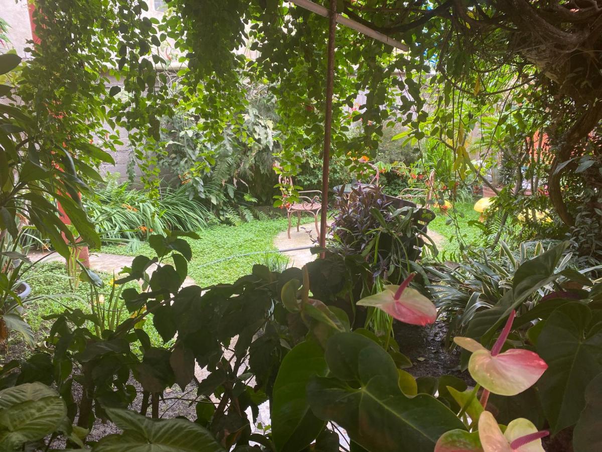 Hotel Flor De Cera Tepoztlán Esterno foto